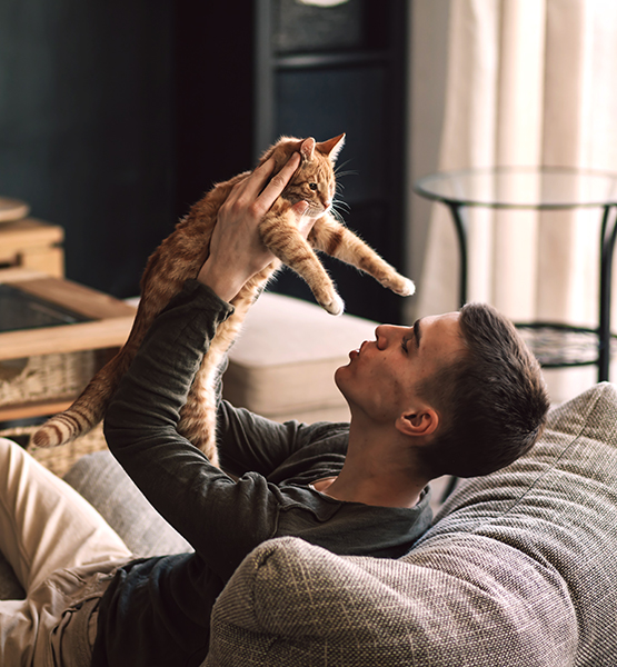 Young man playing with orange stripped pet cat on couch at home