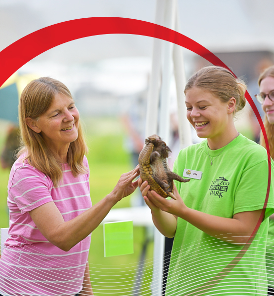NEW Zoo employee holding armadillo 