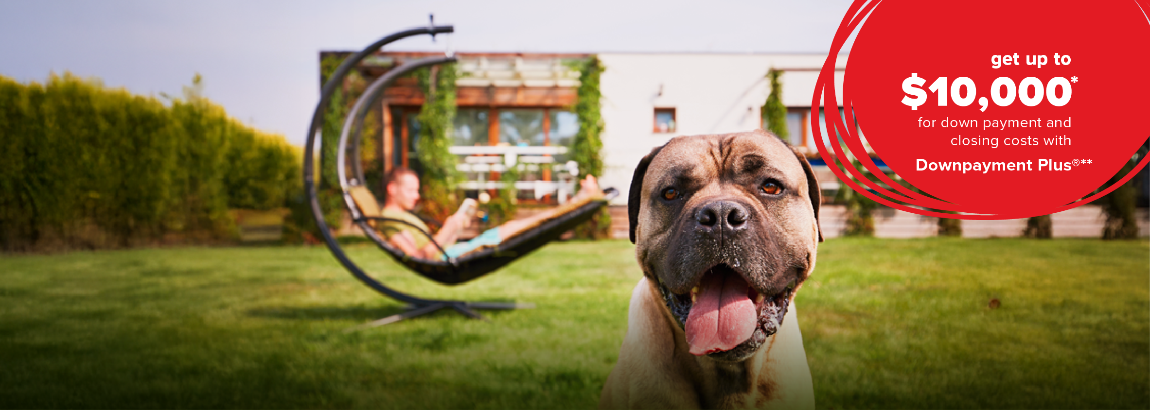 Dog First Time Home Buyer banner.