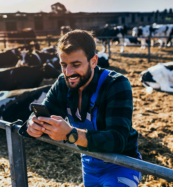 Dairy farm owner leans on fencing in front of cow pasture while looking at his cellphone with smile