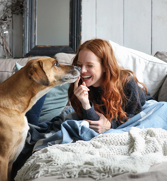 Middle aged woman enjoys time at home on the couch and giggles as pet dog licks her face