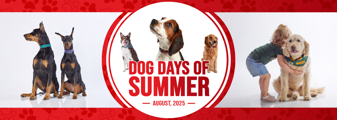 Dog Days of Summer hero. 