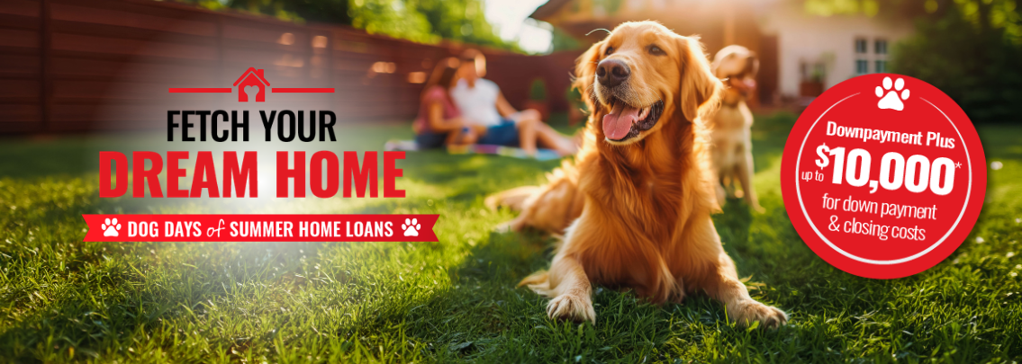 Cute dogs enjoying nice yard of new home. 