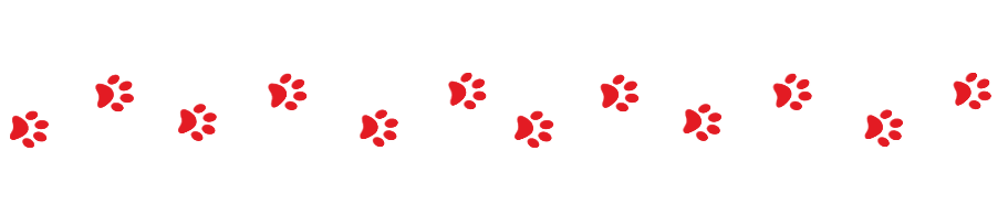 paw prints

